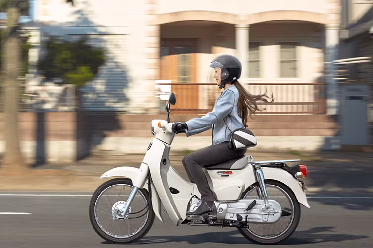 Trải qua hơn nửa Thế kỷ, những chiếc Honda Cub ngày nay vẫn được sản xuất và thiết kế dựa trên những đặc điểm nêu trên. Cơ cấu khung thép dập hàn, vỏ nhựa cùng động cơ không có nhiều thay đổi kể từ khi chuyển sang kết cấu trục cam đã khiến Super Cub có giá rẻ và được sản xuất tới tận ngày nay.