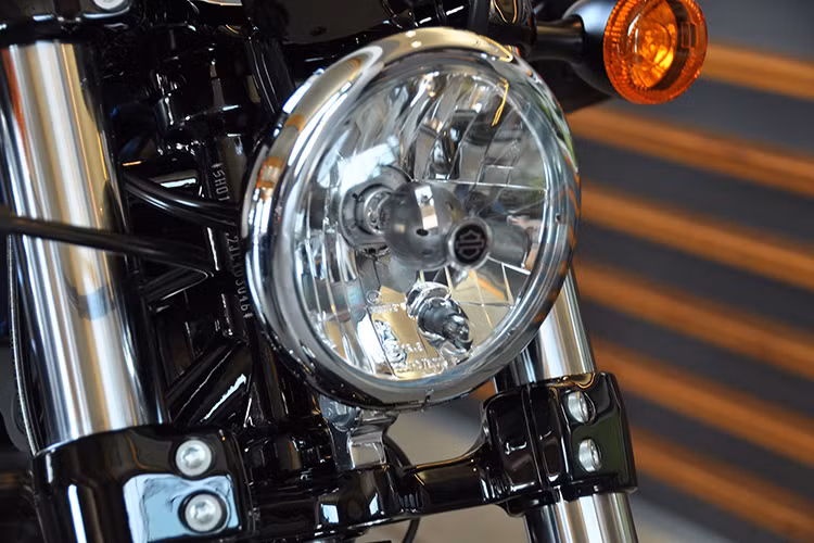 Ngoại hình Harley-Davidson Forty-Eight 115th Anniversary bản kỷ niệm 115 năm tương tự bản tiêu chuẩn, kích cỡ không có nhiều thay đổi. Chiếc xe vẫn mang thiết kế cổ điển, cá tính được lấy cảm hứng từ những mẫu xe môtô Harley-Davidson từ năm 1948.