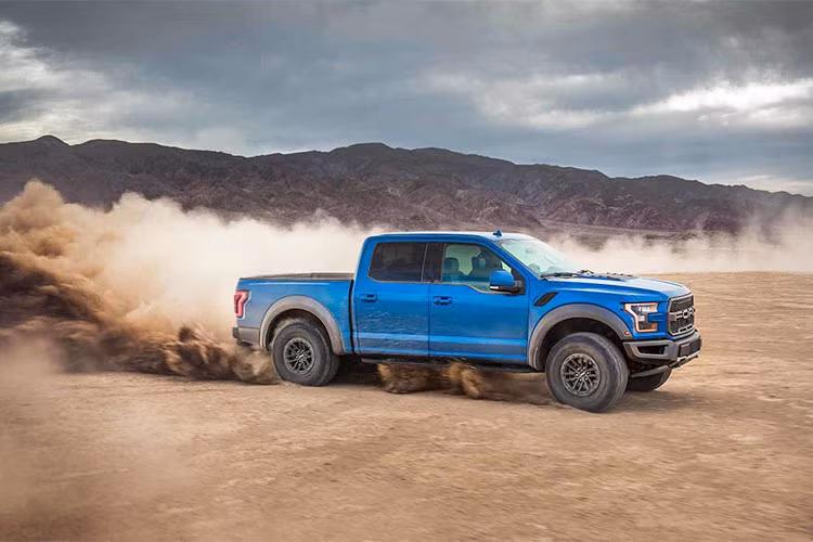 Trên thị trường hiện nay, F-150 được bán ra với nhiều biến thể khác nhau: XL, XLT, Lariat, King Ranch, Raptor, Platinum, và Limited cao cấp nhất. Đây cũng là mẫu xe bán tải cỡ lớn mạnh mẽ nhất của Ford.