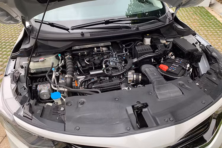 Nguồn cung cấp sức mạnh của Honda Envix 2019 là khối động cơ xăng 3 xi-lanh, tăng áp, dung tích 1.0 lít với công suất tối đa 122 mã lực và mô-men xoắn cực đại 173 Nm giống hệt Crider 2019. Sức mạnh được truyền tới bánh thông qua hộp số sàn 6 cấp hoặc CVT.