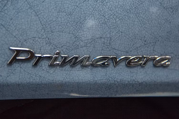 Qua tác phẩm mới lần này, bên cạnh ý nghĩa tạo ra một chiếc xe độc đáo để gây quỹ từ thiện, Piaggio Việt Nam cũng đã góp phần gia tăng bộ sưu tập xe Vespa mang đậm văn hóa Việt Nam được thực hiện trong các năm qua gồm: tranh Đông Hồ, khảm trai, dát vàng…