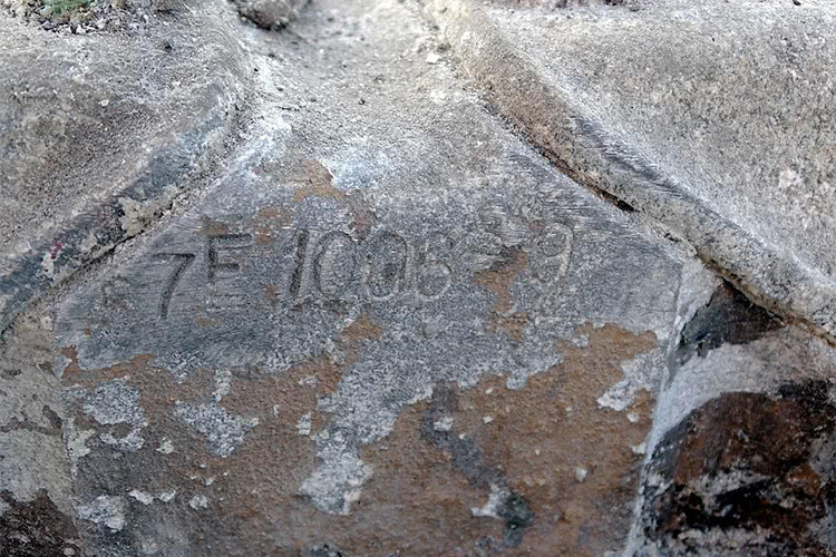 Theo thông tin từ Daily Mail, chiếc xe Jaguar ra đời từ cuối năm 1964 dù cho hồ sơ có ghi thời gian sản xuất trong năm 1965. Sau đó, Jaguar Series 1 được trưng bày tại Piccadilly London của Henly trong 5 tháng.