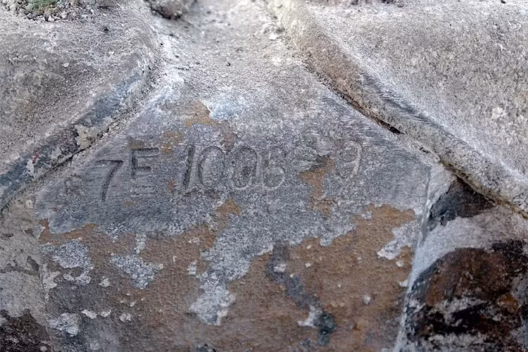 Theo thông tin từ Daily Mail, chiếc xe Jaguar ra đời từ cuối năm 1964 dù cho hồ sơ có ghi thời gian sản xuất trong năm 1965. Sau đó, Jaguar Series 1 được trưng bày tại Piccadilly London của Henly trong 5 tháng.