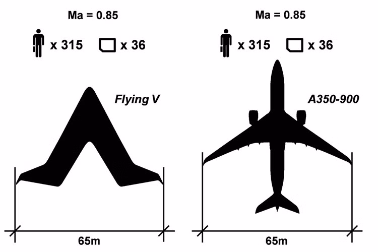 Khoang lái không thể thay đổi, còn khoang hành khách trải dọc chiều dài hai cánh máy bay, khiến máy bay Flying-V hoàn toàn mới có cánh dày hơn hẳn. Hàng hóa và nhiên liệu cũng nằm cả trong phần cánh giúp nó có thể chở được 314 hành khách, tương đương với chiếc Airbus A350. Ngoài hình dáng độc đáo, khả năng tiết kiệm nhiên liệu của nó cũng lôi kéo được sự chú ý của dư luận.