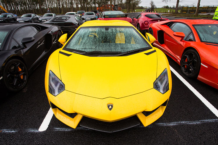 Màu đen và màu xanh nước là các màu tượng trưng cho mệnh Thủy. Theo ngũ hành, Thủy sinh Mộc, tuổi Giáp Tý thuộc mệnh Thủy. Điều này có nghĩa là bổn mạng sinh ra xe, xe sẽ hút hết năng lực cuộc đời của gia chủ. Màu xanh, xanh lục, đỏ, màu hồng và tím cũng là những màu mà tuổi Giáp Tý nên tránh khi mua xe ôtô.