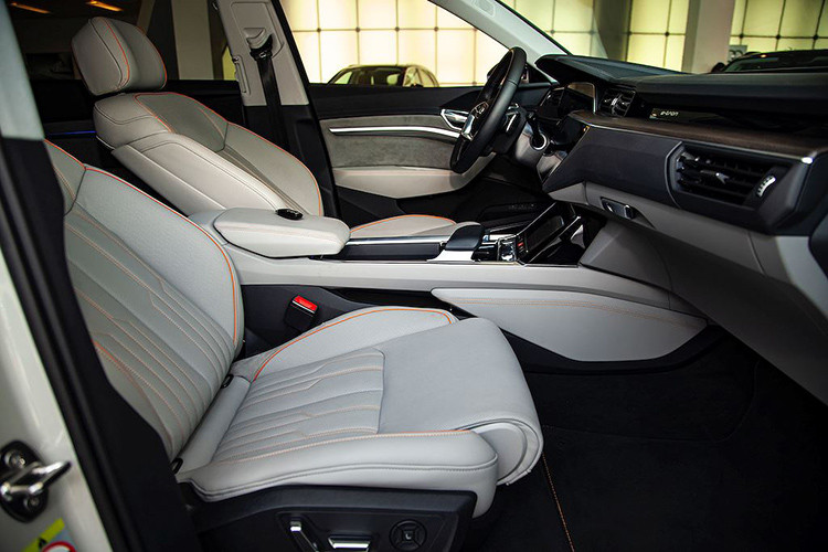 Tại thị trường Đức, Audi e-tron trang bị tiêu chuẩn với MMI navigation plus, bao gồm cả kết nối 4G LTE Advanced , GPS và Wi-fi hotspot. Bên cạnh đó là hàng loạt các hệ thống hỗ trợ người lái tân tiến dựa trên dữ liệu từ tối đa 5 radar cản biến, 6 camera, 12 cảm biến siêu âm và máy quét laser...