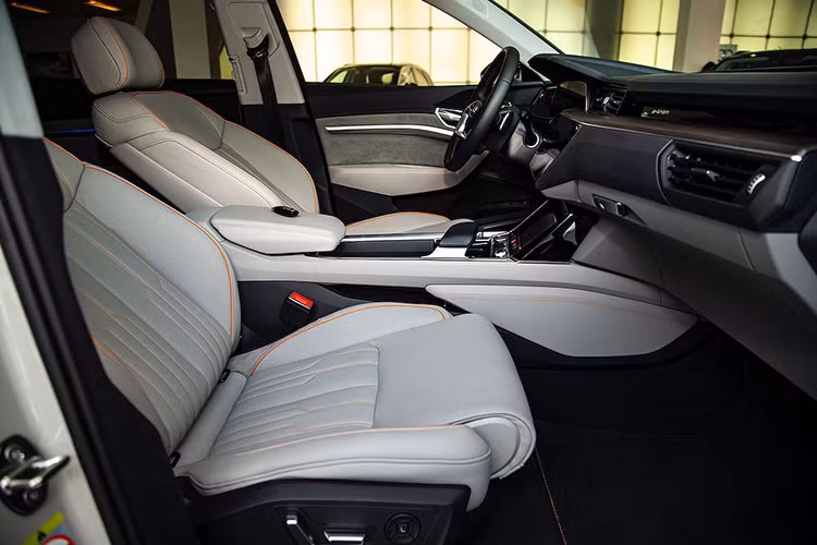 Tại thị trường Đức, Audi e-tron trang bị tiêu chuẩn với MMI navigation plus, bao gồm cả kết nối 4G LTE Advanced , GPS và Wi-fi hotspot. Bên cạnh đó là hàng loạt các hệ thống hỗ trợ người lái tân tiến dựa trên dữ liệu từ tối đa 5 radar cản biến, 6 camera, 12 cảm biến siêu âm và máy quét laser...