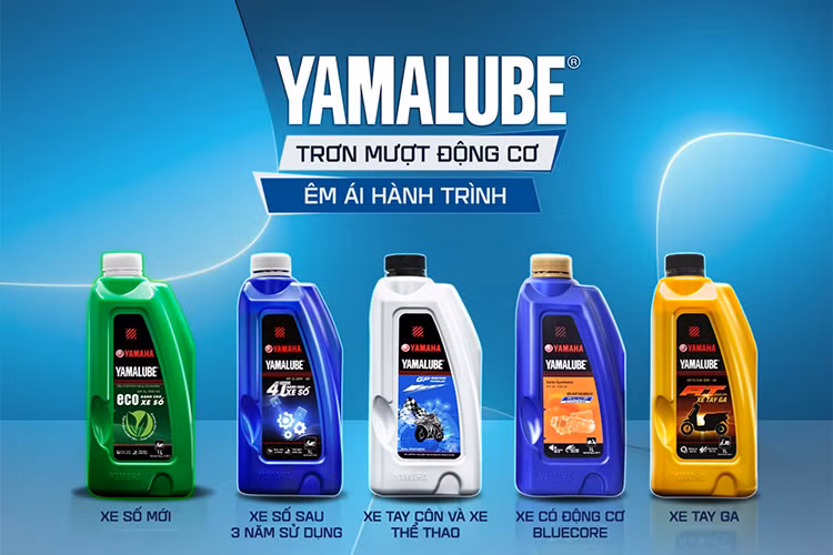 Nhung luu y danh cho nguoi moi khi chay xe con tay-Hinh-6