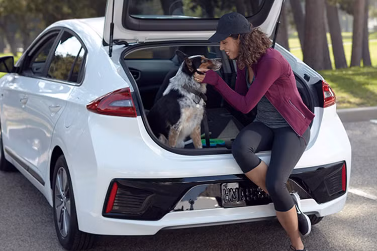 Cả hai khối động cơ này tạo ra sức mạnh tổng cộng 139 mã lực và 265Nm cho Hyundai Ioniq Hybrid. Theo nhà nhà sản xuất là hãng xe ôtô Hyundai cho biết, Ioniq phiên abnr mới chỉ tiêu thụ lượng nhiên liệu 22,4 km/lít, tương đương 4,1 lít/100 km.