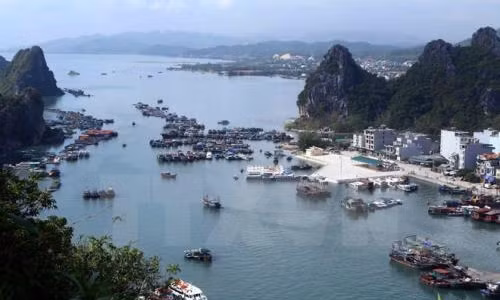 Tim mo hinh dac khu kinh te dac biet phu hop