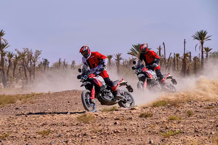 Hiện tại, mức giá xe Ducati DesertX Rally 2023 bán ta tại thị trường châu Âu là 22.995 USD (khoảng 561 triệu đồng). Dự đoán, mẫu xe này sẽ sớm về ra mắt thị trường Đông Nam Á vào cuối năm nay, trong đó có cả Việt Nam.