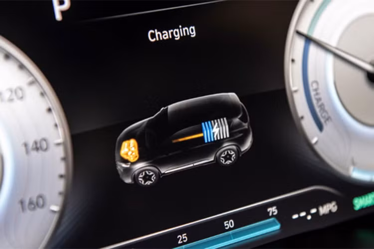 Hiện tại, mẫu xe Hyundai SantaFe tại Việt Nam vẫn đang mở bán với có 4 phiên bản, giá bán của SantaFe thế hệ 2022 từ 1,055 - 1,375 tỷ đồng. Đối thủ cạnh tranh là Ford Everest, Kia Sorento,Toyota Fortuner, Mitsubishi Parejo Sport hay Isuzu mu-X.