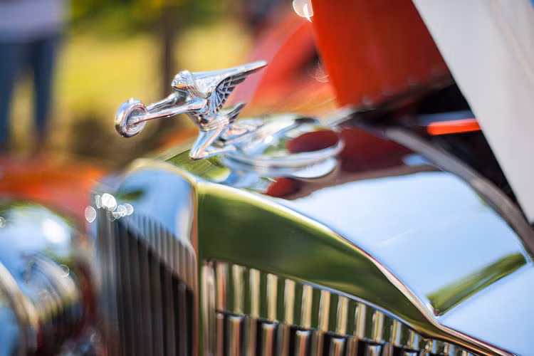 Hãng xe xe hơi của Mỹ, Packard, đã trang bị cho logo trên mui xe cho tất cả những mẫu xe cao cấp của mình bằng một trong 2 logo độc đáo từ năm 1926 tới năm 1950, hoặc là 1 con chim cốc hoăc là nữ thần tốc độ. Trong đó, logo nữ thần tốc độ hay còn được là Packard Donut Chaser nổi tiếng hơn cả.