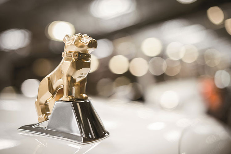 Mack là nhà sản xuất xe tải và từng sản sản xuất xe bus được thành lập đầu thế kỷ 20. Ít ai biết đến hãng xe này cho tới Thế chiến thứ nhất khi chi nhánh xe tải của Mack được biết đến với logo “The Bulldog”. Với thiết kế lưới tản nhiệt to bản, độ bền và hiệu suất cao của dòng xe này đã khiến những người lính Anh nhớ đến linh vật quốc gia họ, loài chó bull Anh nổi tiếng.