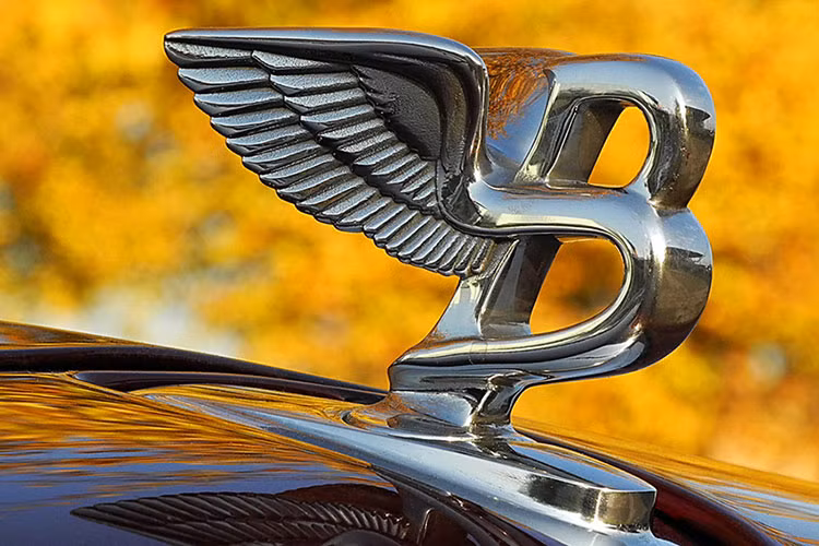 Là đối thủ chính của Rolls-Royce, Bentley cũng có riêng một logo trên mui với thiết kế khá chi tiết. Được mệnh danh là “Flying B, không cần quá nhiều trí tưởng tượng để hiểu lý do tại sao. Chữ “B” mang tính biểu tượng kiểu được nhô lên đầy kiêu hãnh với một đôi cánh mở rộng đằng sau.