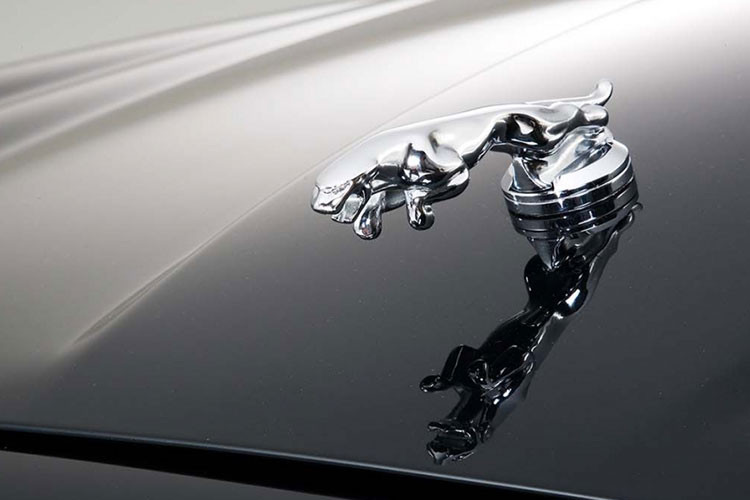 Biểu tượng báo chồm được trang trí trên mọi mẫu xe Jaguar, một trong những logo trên mui xe lâu đời nhất và mang tính biểu tượng nhất trên thế giới. Logo này là là hình một con báo dũng mãnh nhảy về phía trước, biểu tượng cho sức mạnh cũng như sự thanh lịch của chiếc xe.