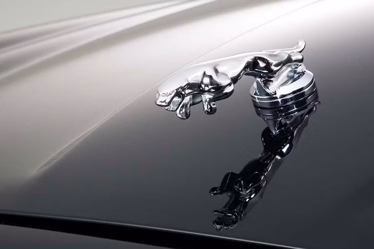 Biểu tượng báo chồm được trang trí trên mọi mẫu xe Jaguar, một trong những logo trên mui xe lâu đời nhất và mang tính biểu tượng nhất trên thế giới. Logo này là là hình một con báo dũng mãnh nhảy về phía trước, biểu tượng cho sức mạnh cũng như sự thanh lịch của chiếc xe.