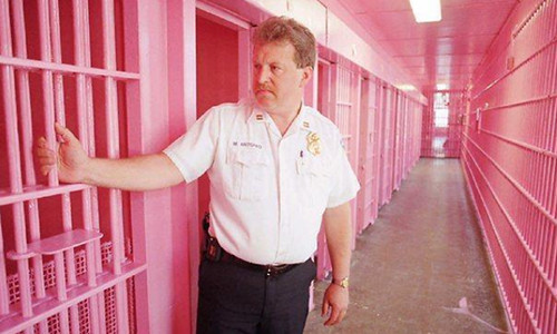 Tai sao nhieu nha tu o Chau Au lai duoc son mau hong?