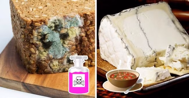 Thức ăn mốc thường nhìn thấy được nhưng chất độc sinh ra từ các loại nấm mốc lại vô hình và có thể xâm nhập sâu vào bên trong thực phẩm. Vì vậy, bạn không nên chỉ cắt bỏ các phần mốc mà hãy bỏ tất cả các phần khác đi.