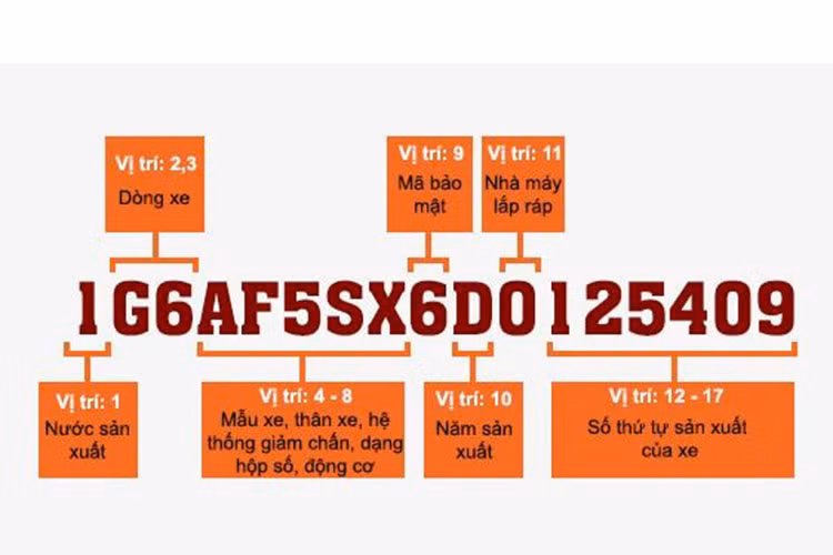 Mỗi chiếc ôtô được sản xuất ra đều có một mã nhận dạng riêng (VIN). Có ba vị trí để tìm là trên khung cửa xe phía ghế lái, trên vách ngăn khoang động cơ và ở dưới kính chắn gió bên lái. Tìm mã này và kiểm tra để đảm bảo rằng chiếc xe đúng như mô tả trong hồ sơ về nhà sản xuất, mẫu mã, hệ thống động cơ, dạng hộp số và năm xuất xưởng. 