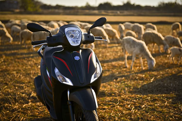 Hãng xe Italy tại Việt Nam đem đến một số màu tem mới kèm các trang bị quen thuộc như bản cũ: cổng sạc USB, đèn định vị ban ngày LED, cốp chứa đồ rộng 36,2 lít, khởi động start-stop và cảm biến nghiêng hỗ trợ ngắt động cơ tạm thời trong trường hợp ngã xe.