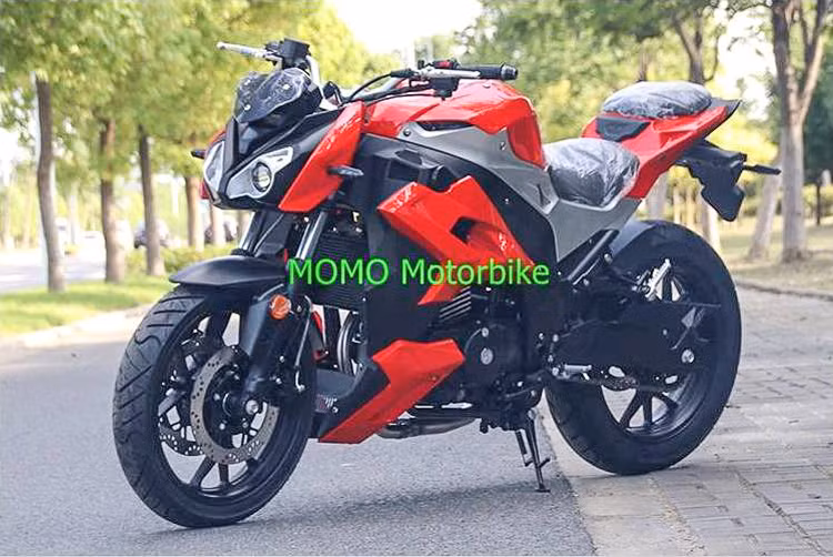 S1000R nhái là 1 trong nhiều mẫu xe có xuất xứ từ Trung Quốc, có thể kể đến như: Kawasaki Z1000, BMW S1000RR, Honda CBR250RR…Các mẫu xe Trung Quốc có thiết kế nhái theo các mẫu xe nổi tiếng có giá bán cực kỳ hấp dẫn đánh vào tâm lý của người tiêu dùng Việt Nam.