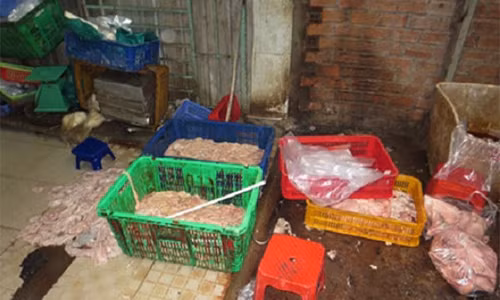 2,3 tấn lòng heo được bỏ ngay giữa nền nhà dơ bẩn, chờ dùng oxy già để tẩy trắng trước khi tuồn ra thị trường.