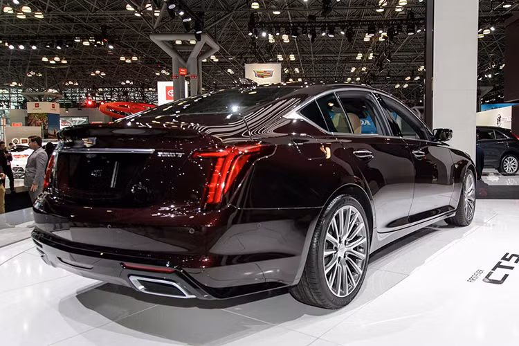 Mui xe được thiết kế đổ dốc dần ra phía sau theo phong cách ‘’fastback’’. Nhìn chung, dòng CT5 ảnh hưởng thiết kế rất nhiều mẫu concept Escala được hãng xe Mỹ giới thiệu tại Triển lãm LA Auto Show năm 2016.