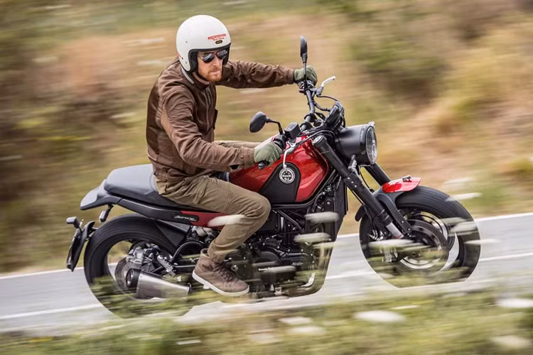 Dự kiến, Benelli Leoncino sẽ bắt đầu được bày tại các showroom ở Malaysia trước khi năm 2017 kết thúc. Theo một số nguồn tin cho hay, mẫu xe này có thể cũng sẽ được đưa về thị trường môtô Việt vào khoảng cuối năm nay, mức giá của xe vẫn chưa được Benelli Việt Nam tiết lộ. 