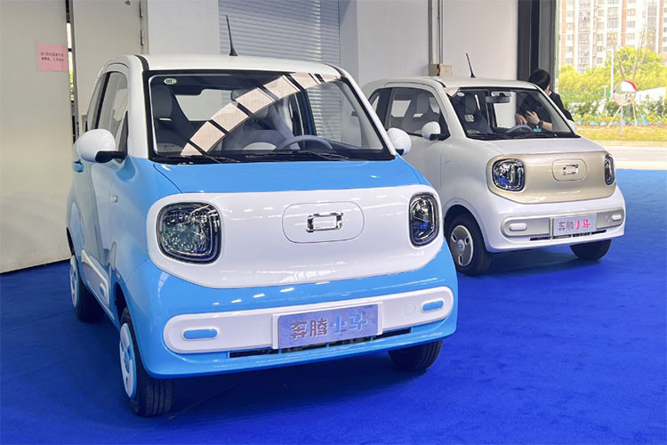 Roding Mobility sẽ đóng vai trò tư vấn kỹ thuật, giám sát triển khai sản xuất, trong khi Thái Hưng đảm nhận việc lắp ráp tại Việt Nam. Giai đoạn đầu, Thái Hưng Corp tập trung vào xe điện đô thị (city car) theo tiêu chuẩn L7e châu Âu, với sản lượng dự kiến 6.000 xe trong ba năm đầu. Sau đó, công ty dự kiến mở rộng danh mục sản phẩm xe điện hạng A.