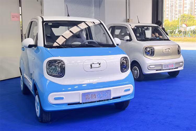 Roding Mobility sẽ đóng vai trò tư vấn kỹ thuật, giám sát triển khai sản xuất, trong khi Thái Hưng đảm nhận việc lắp ráp tại Việt Nam. Giai đoạn đầu, Thái Hưng Corp tập trung vào xe điện đô thị (city car) theo tiêu chuẩn L7e châu Âu, với sản lượng dự kiến 6.000 xe trong ba năm đầu. Sau đó, công ty dự kiến mở rộng danh mục sản phẩm xe điện hạng A.