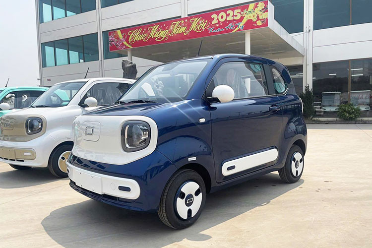 Hình ảnh những chiếc ôtô điện FAW Bestune Pony xuất hiện tại Thái Bình làm dấy lên đồn đoán về kế hoạch phân phối mẫu xe này tại Việt Nam. Tại thị trường nội địa Trung Quốc, giá xe FAW Bestune Pony có hai phiên bản với mức bán dao động từ 26.900 - 31.900 nhân dân tệ (tương đương 96 - 114 triệu đồng).