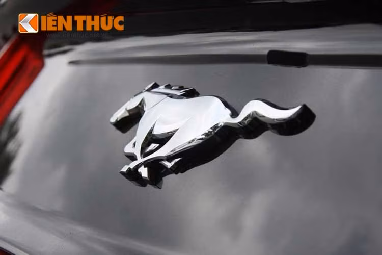 Khác với những mẫu xe Ford thường thấy, sử dụng logo màu xanh, Mustang được gắn logo là biểu tượng chú ngựa đang tung vó, đúng như tên gọi của mình.