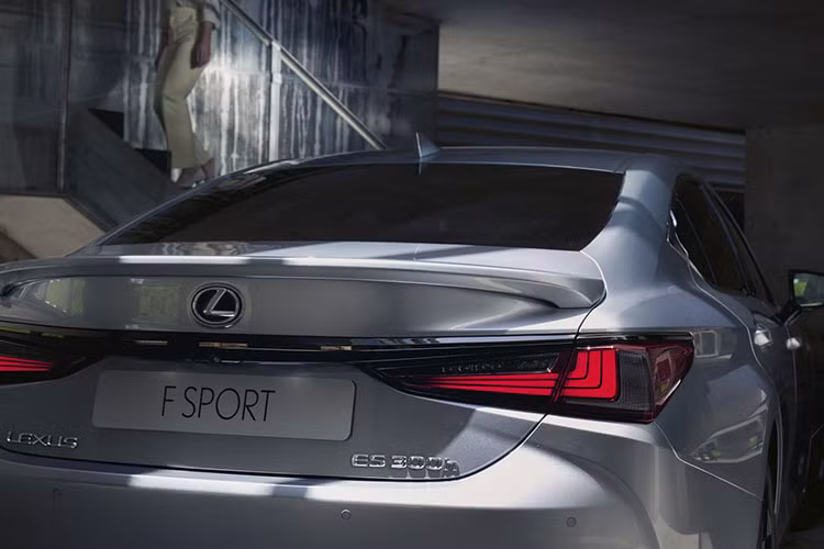 Thêm vào đó là tính năng ra lệnh bằng giọng nói nâng cấp với câu lệnh "Hey Lexus", có thể nhận ra 19 ngôn ngữ châu Âu khác nhau. Tính năng này còn nhận biết và phản hồi với những câu nói thông thường, ví dụ như tăng nhiệt độ khi người lái nói: "Lạnh quá".