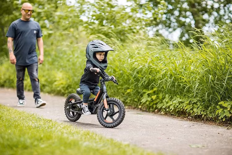 Khi so sánh với các mẫu xe điện dành cho trẻ em từ các thương hiệu khác, cặp đôi Harley-Davidson IRONe cũng không thực sự quá nổi trội về ngoại hình bởi xu hướng thiết kế dành cho các em nhỏ luôn được các nhà sản xuất đặt tiêu chí tối giản lên hàng đầu.