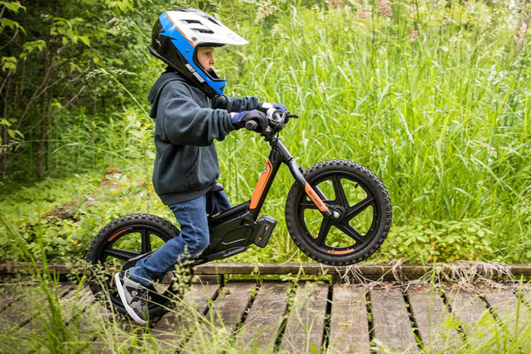 Đối với mẫu Harley-Davidson IRONe12 được định vị tới tập khách hàng là những em nhỏ trong độ tuổi từ 3 - 5 tuổi. Do đó, chiều cao yên xe cũng được giới hạn ở mức 330 mm cùng trọng lượng chỉ 7,7 kg. Để vận hành, mẫu xe này sẽ sử dụng một mô-tơ điện 2Ah cùng viên pin Lithium-ion giúp tối ưu hoá năng lượng và an toàn cho trẻ nhỏ.