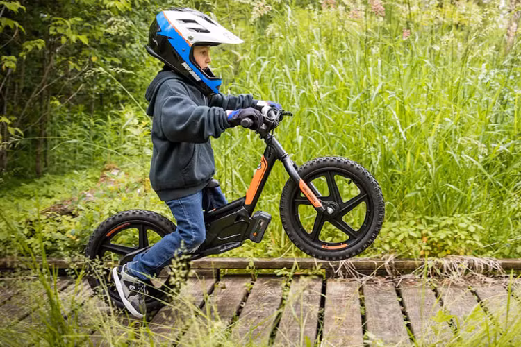 Đối với mẫu Harley-Davidson IRONe12 được định vị tới tập khách hàng là những em nhỏ trong độ tuổi từ 3 - 5 tuổi. Do đó, chiều cao yên xe cũng được giới hạn ở mức 330 mm cùng trọng lượng chỉ 7,7 kg. Để vận hành, mẫu xe này sẽ sử dụng một mô-tơ điện 2Ah cùng viên pin Lithium-ion giúp tối ưu hoá năng lượng và an toàn cho trẻ nhỏ.