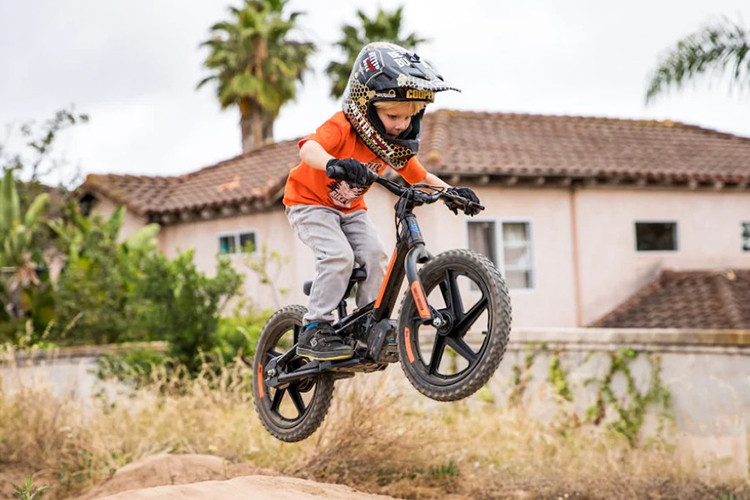 Theo nhà sản xuất, pin lithium-ion trên bộ đôi IRONe12 và IRONe16 sau mỗi lần sạc đầy có thể sử dụng trong khoảng 1 giờ đồng hồ. Thời gian sạc đầy pin cũng được giới hạn trong khoảng dưới 60 phút. Giá bán xe Harley-Davidson IRONe12 sẽ niêm yết từ 649 USD (khoảng 15,2 triệu đồng) và IRONe16 có giá niêm yết 699 USD (khoảng 16,4 triệu đồng).