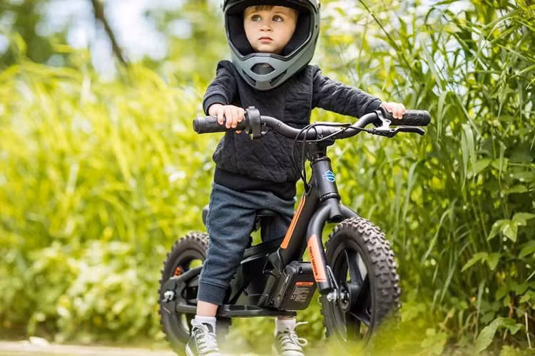 Khác với mẫu Harley-Davidson IRONe12, mẫu IRONe16 được nhắm tới tập các em nhỏ lớn hơn và ở độ tuổi từ 5 - 7. Do đó, chiều cao yên xe cũng như size tổng thể của IRONe16 đều lớn hơn đáng kể so với "đàn em" IRONe12. Ngoài sự khác biệt về kích thước và nền tảng truyền động cùng viên pin lithium-ion, IRONe16 được điều chỉnh dải tốc độ tối đa cao hơn đôi chút cho với IRONe12, ở mức 12 - 17.7 km/h.