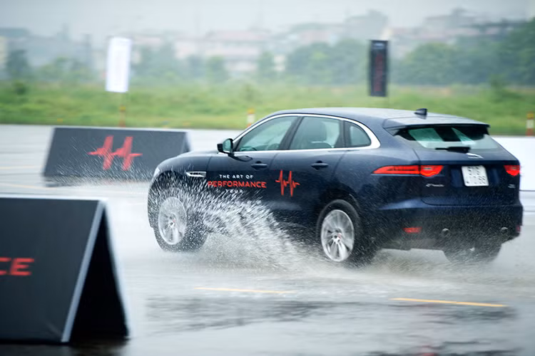 Tại sự kiện The Art of Performance Tour tại Hà Nội lần này còn có sự tham gia của các mẫu xe sedan hạng sang nổi tiếng của Jaguar như XF với các phiên bản Pure và Prestige, mẫu xe XJL phiên bản XJ kéo dài và mẫu SUV đầu tiên của Jaguar đó là F-Pace với phiên bản Prestige. 