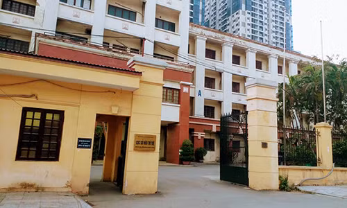 Pho Cuc truong Cuc So huu tri tue bi to ky van ban trai luat?