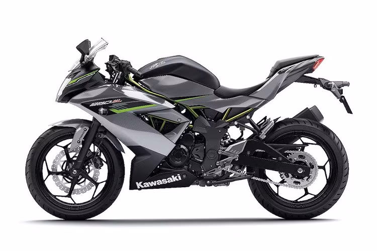 Được biết đến với tên gọi Ninja 250 RR Mono tại một số thị trường, mẫu xe Kawasaki Ninja 250SL được coi là phiên bản giá rẻ của các dòng Ninja 250/300 quen thuộc với động cơ xi-lanh đôi. Chiếc xe này cũng chính là nền tảng để Kawasaki tạo ra phiên bản Ninja 125 hướng tới những tay lái mới tại thị trường châu Âu.