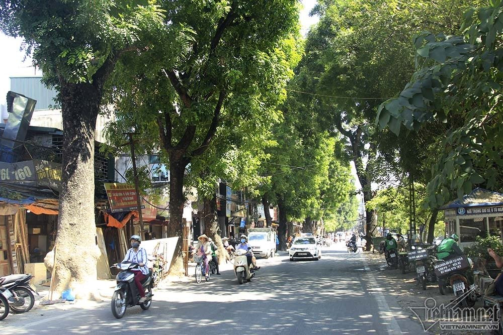 Chiều dài tuyến đường là 2.274m, diện tích khoảng 153.341m2 