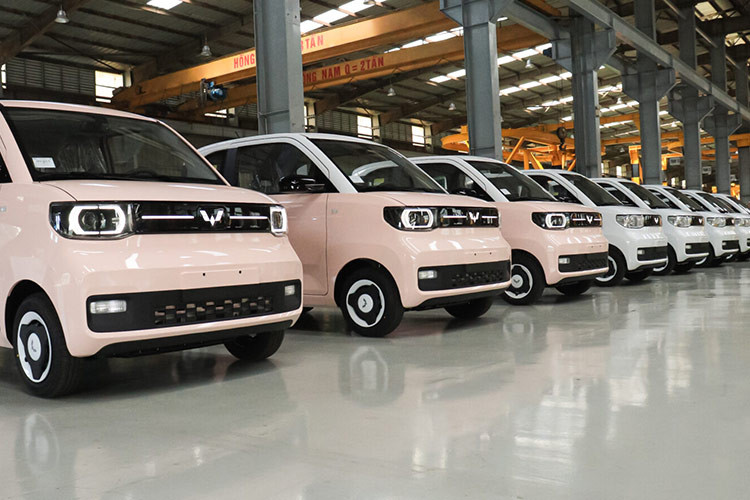 TMT Motors bao lo ky luc sau 1 nam ban oto dien Wuling Mini EV-Hinh-2