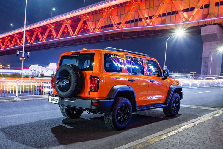 Tank 300 mang trên mình hệ truyền động hybrid với sự kết hợp giữa cỗ máy xăng 4 xi-lanh, tăng áp, dung tích 2.0L và mô-tơ điện, sản sinh công suất cực đại 245 mã lực, mô-men xoắn cực đại 385 Nm. Cỗ máy vận hành này nhận sự hỗ trợ của hộp số tự động 9 cấp.