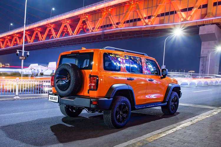 Tank 300 mang trên mình hệ truyền động hybrid với sự kết hợp giữa cỗ máy xăng 4 xi-lanh, tăng áp, dung tích 2.0L và mô-tơ điện, sản sinh công suất cực đại 245 mã lực, mô-men xoắn cực đại 385 Nm. Cỗ máy vận hành này nhận sự hỗ trợ của hộp số tự động 9 cấp.