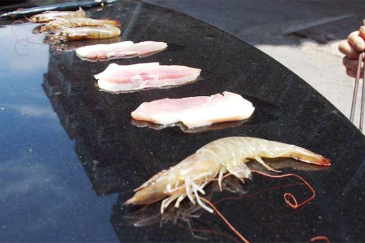 Nếu xe thường xuyên đậu ngoài trời nắng mà không dùng tấm chắn nắng hay đậu dưới bóng râm thì nước sơn xe chắc chắn bị ảnh hưởng rất lớn. Nhiệt độ cao sẽ khiến cho lớp sơn nhanh bạc hơn bình thường. Đặc biệt sơn xe càng tối màu thì càng bị ảnh hưởng nhiều hơn.