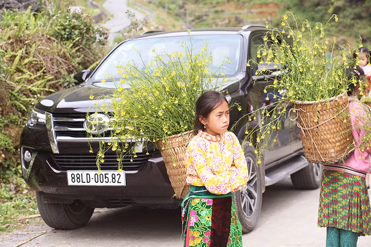 Ở phiên bản Fortuner 2017 - mẫu xe này được thay đổi gần như toàn bộ thiết kế bên ngoài. Phần đầu xe nổi bật với thanh nẹp mạ crom ở lưới tản nhiệt trên thiết kế liền mạch với nẹp crom phía trên đèn trước, kéo dài về phía sau trong khi cụm đèn pha thiết kế sâu vào phần hông xe gia tăng cảm giác về chiều rộng của xe. Thiết kế cản trước cũng mang phong cách hầm hố và cứng cáp hơn so với trước đây.