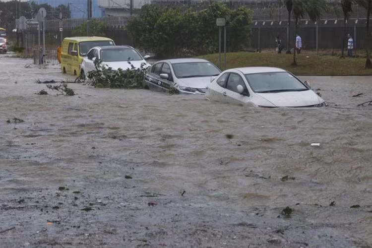 Cả một dàn xe xếp hàng nằm vùi mình trong nước khi cơn lũ đi qua.