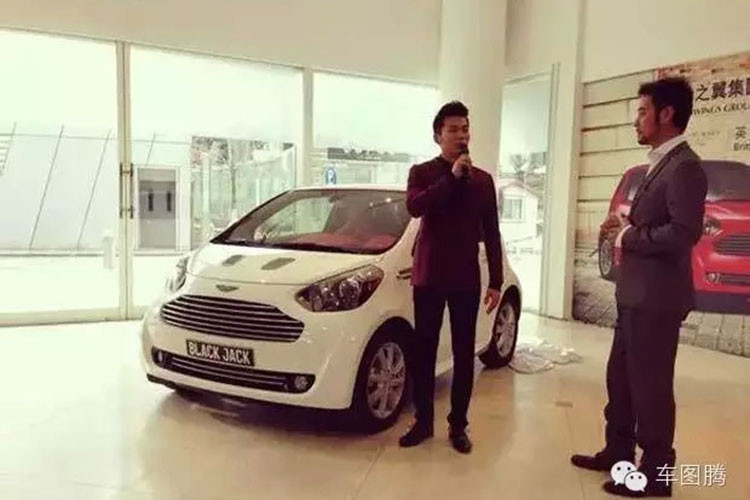 Đầu năm 2013, Lý Thần trở thành người Trung Quốc đầu tiên sở hữu chiếc Aston Martin Cygnet (Tiểu Thiên Nga).
